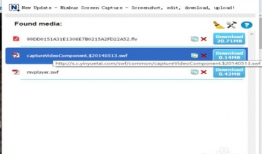 怎么下载网页里的视频,一键掌握视频下载技巧