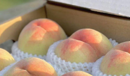 水蜜桃在线视频,甜蜜瞬间，尽享视觉盛宴